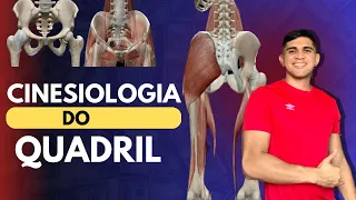Cinesiologia do Quadril- Ossos, ligamentos , músculos : origem , inserção e ação.