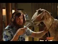 Top 10 Most Underrated Movies of 2007