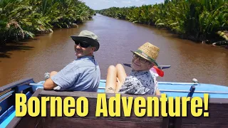 En EPIC journey to find Wild Orangutans Ep 231