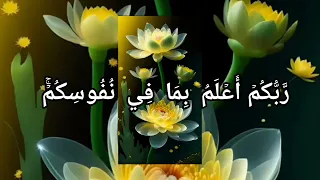 بر الوالدين والنهي عن التبذير تلاوة مؤثرة من سورة الإسراء 23 27 