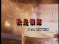 Beyond -《我是憤怒》 Official MV (電影《追龍2》主題曲、《醉生夢死之灣仔之虎》插曲)