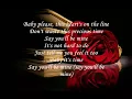 Download Lagu Say You'll Be Mine  Steps with lyrics