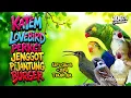 Download Lagu MASTERAN SATU JALUR + JEDA TERAPI AIR | TEMBAKAN KASAR TAJAM!!