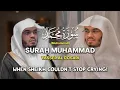 Download Lagu SENTIMENTAL RECITATION | Surah Muhammad | سورة محمد (كاملة) | Sheikh Yasser Al Dosari | ياسرالدوسري