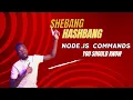 Node js Running Scripts with Shebang Hashbang and Watch Flag