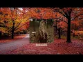 Autumn playlist to get you into that mood 🤎🍂