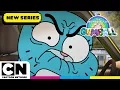 Crazy Car Capers | NEW The Wonderfully Weird World of Gumball | Cartoon Network UK