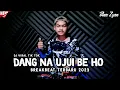 Download Lagu DJ Dang Na Ujui Be Ho REMIX BREAKBEAT FULL BASS 2023 ( ANA ZYAN )