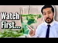 Drinking Chlorophyll Benefits Bizarre Side Effect of Liquid Chlorophyll
