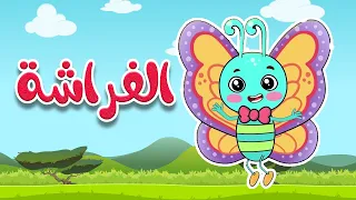 أغنية الفراشة للأطفال قناة أسرتنا 