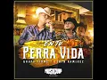En Tu Perra Vida - Grupo Firme & Lenin Ramirez