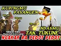 Download Lagu BAGONG SANGAT LUCU GAWE PERUT MULES | PAGELARAN WAYANG KULIT DALANG SENO NUGROHO