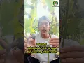 Download Lagu cara mikat burung pakai pulut sudah tak layak#shorts