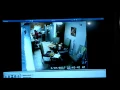 Molly maids Orlando going stealing