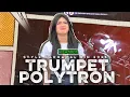 Download Lagu DJ TRUMPET POLYTRON TJAP CRAWAK STYLE KARNAVAL OLD RISKI IRVAN NANDA