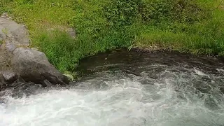 ASMR natural: gemericik air sungai yang jernih untuk kenyamanan dan ketenangan jiwa #nature