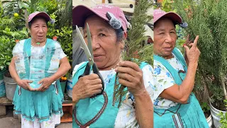 Como usar este metodo para abonar nuestras plantas de romero
