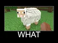 Download Lagu Minecraft realistic wait what meme, new realistic copper golem #635