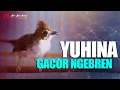 Download Lagu YUHINA GACOR NEMBAK NGEBREN SUPER PEDES