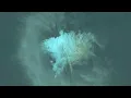 Download Lagu Deep Techno Mix 2022 with 4K Visuals [Altum 001] (ft. Komandra)