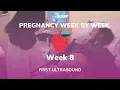 Pregnancy Week 8 First Ultrasound Pregnancy Week By Week