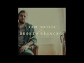 Sam Heilig - Broken Branches (Official Audio)