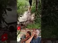 Download Lagu Kompilasi Orang Jatuh Lucu #shorts #short #memes #meme #tiktok #viralvideo #viralshorts
