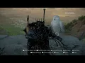 How to Catch the Owl in Crimson Desert Owl Location