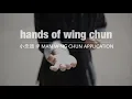 Download Lagu HANDS OF WING CHUN
