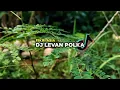 Download Lagu DJ Levan Polka full bass ~ Fikri Asia