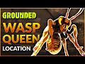 Wasp Queen BOSS Location and how to UNLOCK Grounded 1 2 Update SUPER DUPER