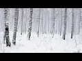 Download Lagu Snowstorm in the Forest | Winter Blizzard Sounds for Sleep \u0026 Relaxation | Natural White Noise Sounds