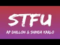 AP Dhillon Shinda Kahloh - STFU Meaning