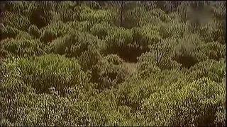 وردة اسمعوني  وردة اسمعوني