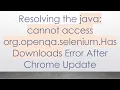 Resolving the java cannot access org openqa selenium HasDownloads Error After Chrome Update
