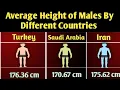 Average Height of Males By Different Countries Height Comparison by Country