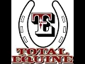 16 Total Equine Features Benefits