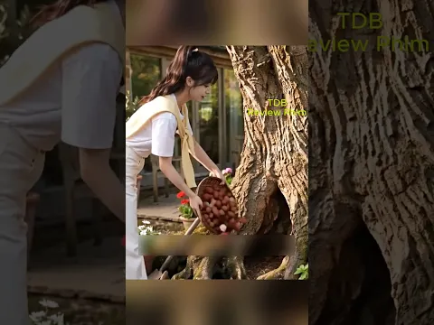 PHÍA SAU HỐC CÂY LÀ CẢ MỘT VƯƠNG QUỐC #youtubeshorts #reviewphim