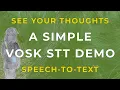 See Your Thoughts - A Simple VOSK STT Demo