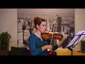 Vivaldi Violin Concerto in A Minor / Vivaldi Konzert a-Moll Allegro Largo Presto RV356