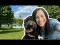 BEST DOG PARKS in Columbia SC