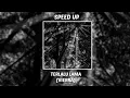 Download Lagu Terlalu lama VIERRA SPEED UP