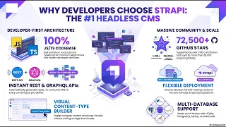 Strapi The Ultimate Open Source Headless CMS Guide