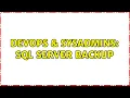 DevOps SysAdmins SQL Server backup 2 Solutions
