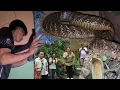 Download Lagu KING COBRA SA SKWELAHAN SA QUEZON 