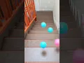 Download Lagu Satisfying Video Bola Jatuh dari Tangga || Ball at Stairs #shorts #satisfying #asmr #unik
