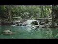 Download Lagu 1 minute relaxing video with nature - A minute with nature/Flowing River