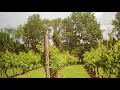 OLD YORK CELLARS WINERY IN RINGOES NJ IN BRIDGEWATER MALL