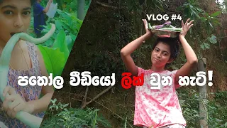 village life snakegourd leak 