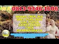 Lagu BEBAS TREK, WA 0813-9346-1606 Jual Pupuk sawit bebas trek Dharmasraya